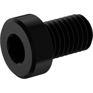Black Oxide High StrenghtLow-Profile Socket Head Screw M10 x 1.5 mm Thread size, 16mm Long图2